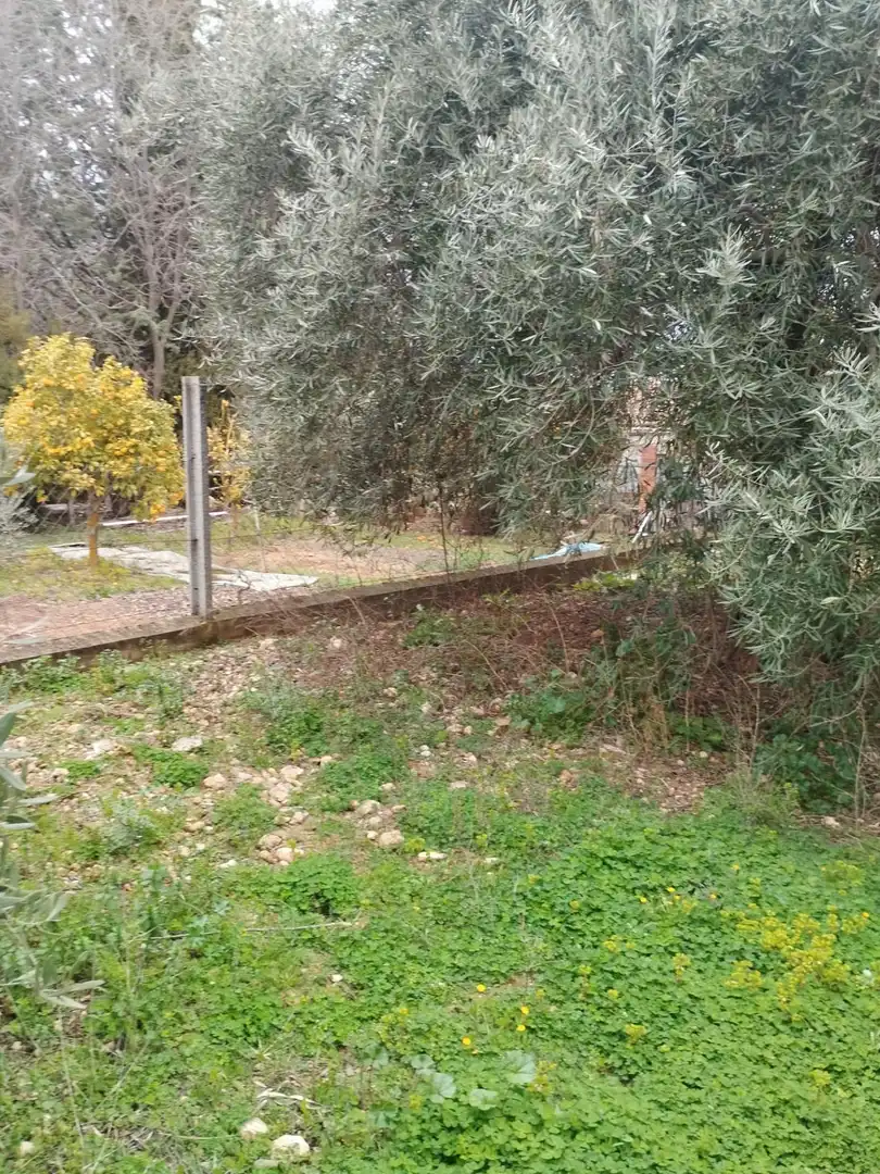 Terreni e lotti in vendita a Camino del cerro poligono 3 parcela, imagen 29