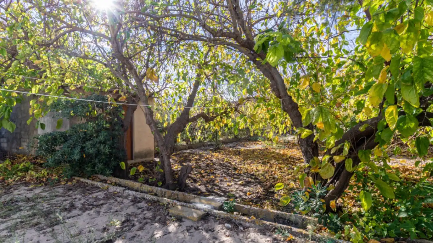 Chalet con jardín en venta en Devessa - Monte Pego, imagen 24