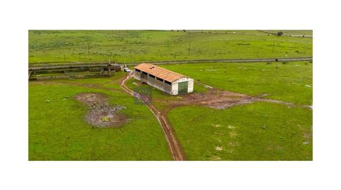 Foto 5 de Casa o chalet en venta en Jerez de los Caballeros, Badajoz