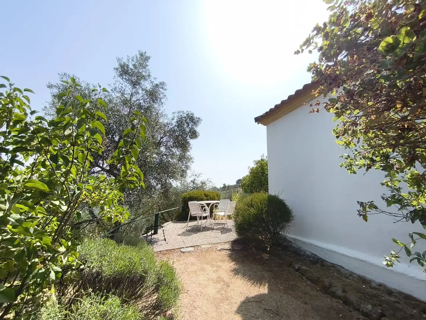 Casa rústica amb jardí en venda a Cazalla de la Sierra, imagen 24