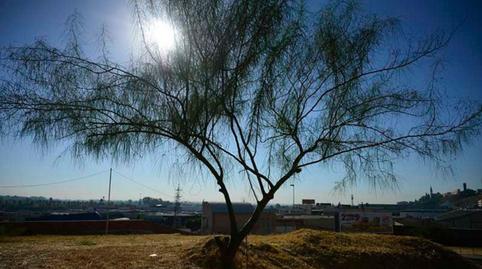 Photo 2 of Land for sale in Avenida Reina Sofía, 1, Santa Eufemia, Sevilla
