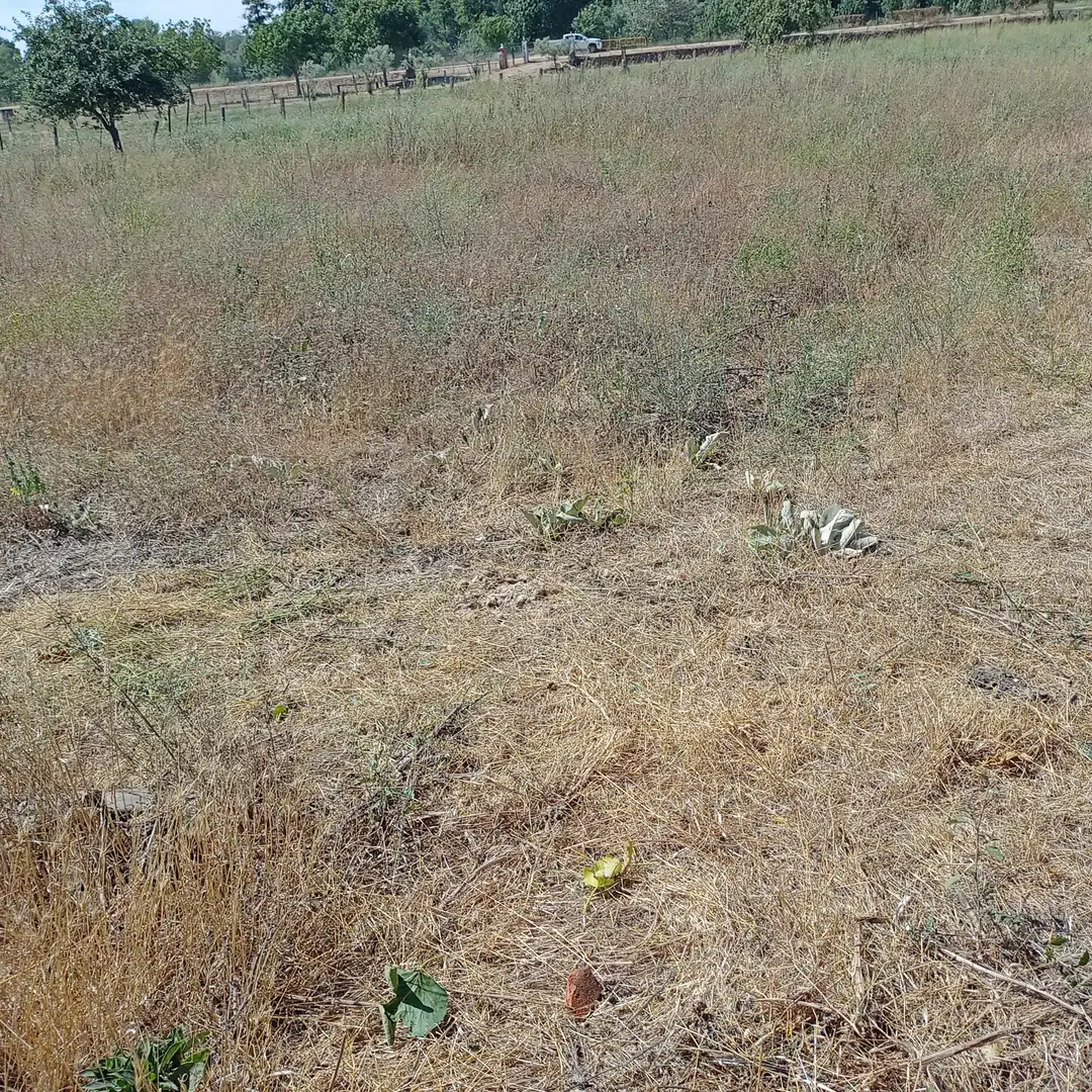 Terreno rustico in vendita a Calle Bajada de Santa Cruz 6D, imagen 13