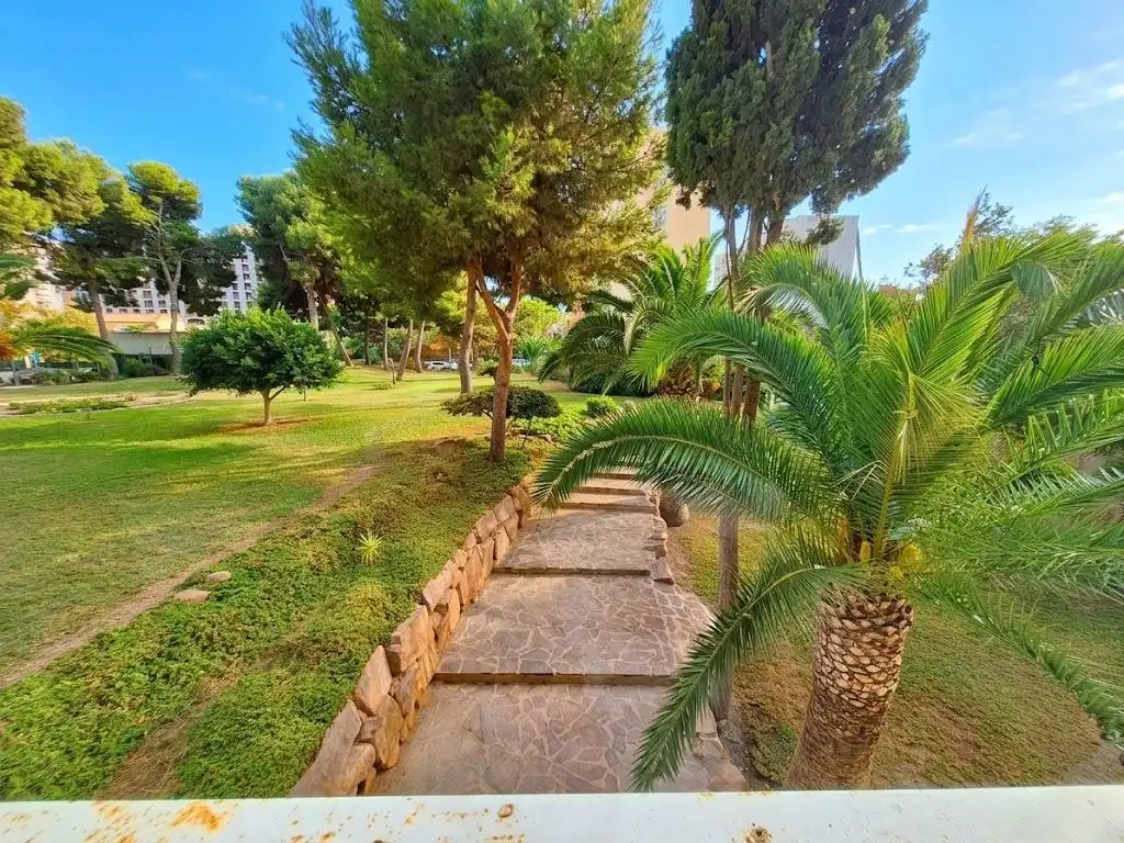 Garden of Study for sale in Juzgados - Plaza de Toros