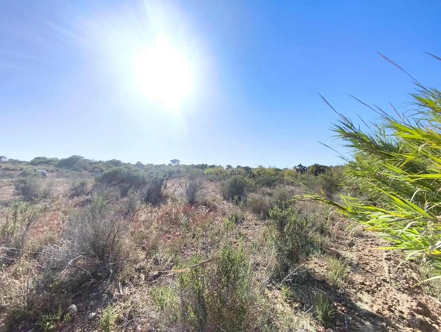 Terreno residencial en venta en Polígono POLIGONO 126 BALSARES 126, imagen 11