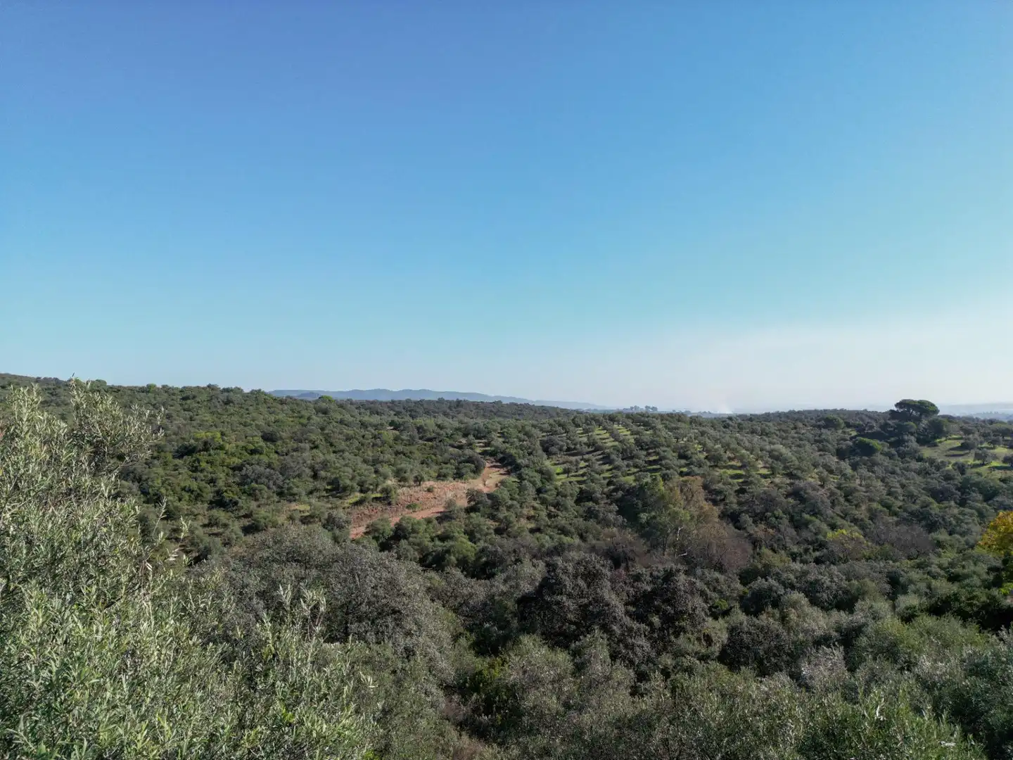 Wohnbaugrundstück zum Verkauf in Avenida san jose de calasanz, imagen 4