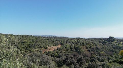 Foto 4 de Residencial en venta en Avenida San Jose de Calasanz, El Brillante -El Naranjo - El Tablero, Córdoba Capital