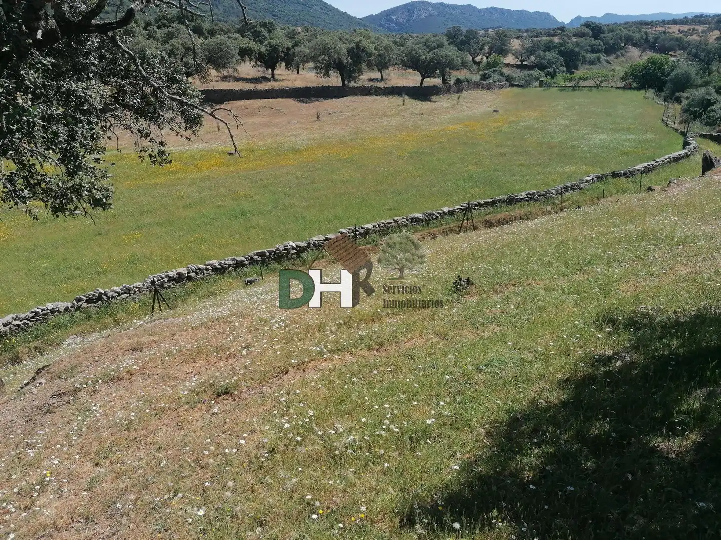 Residencial en venda a Serradilla