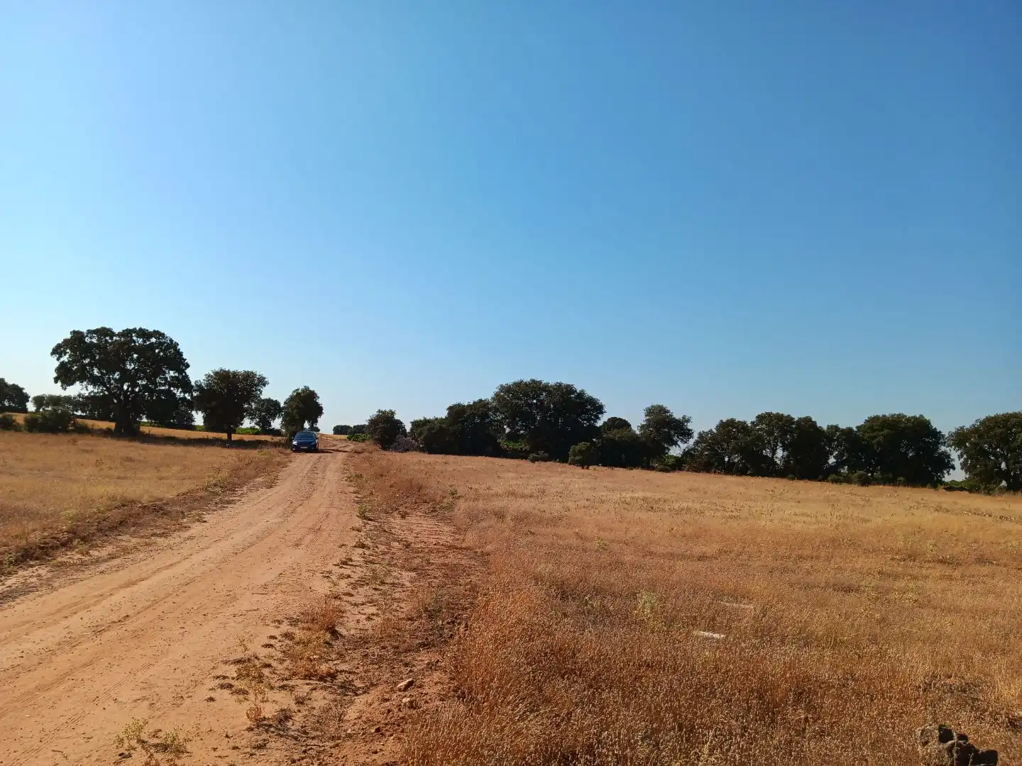 Terreno en venta en Pedro Muñoz
