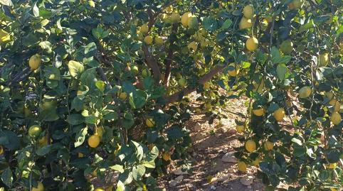 Photo 5 of Land for sale in Plaza Circular, 8a, Santa María de Gracia, Murcia