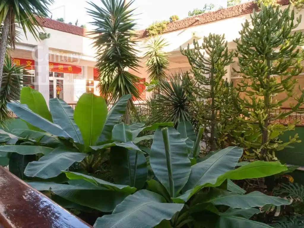 Wohnung zum Verkauf in Calle Noelia Afonso Cabrera, Playa de las Américas