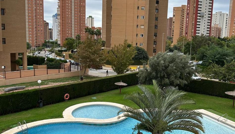 Photo 1 of Apartment for sale in Juzgados - Plaza de Toros, Alicante