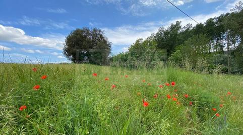 Foto 5 de Finca rústica en venda a La Pera, Girona