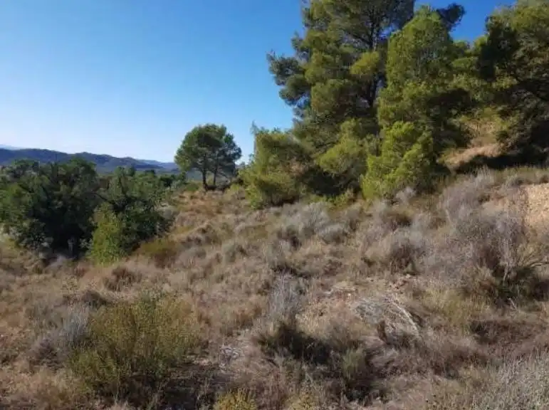 Terreny residencial en venda a Finestrat Pueblo