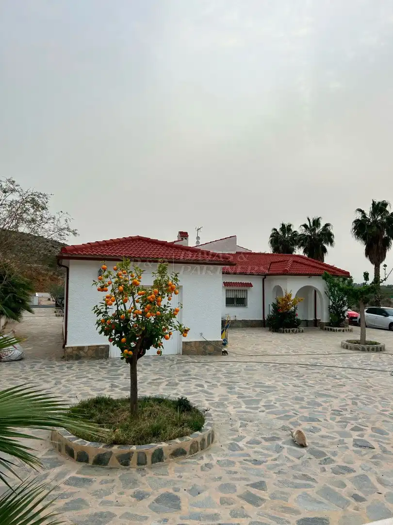 Vista exterior de Casa o chalet en venta en Benferri