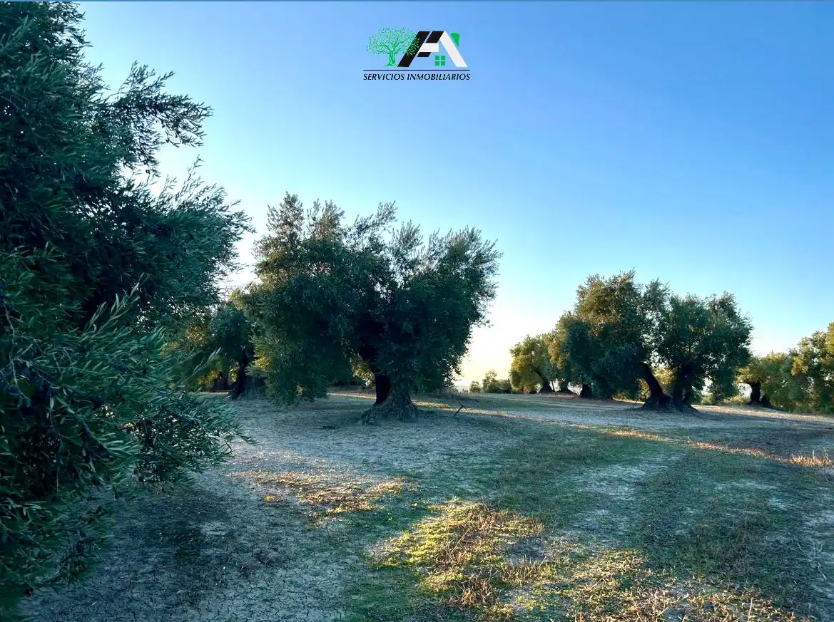 Terreno en venta en Ibros