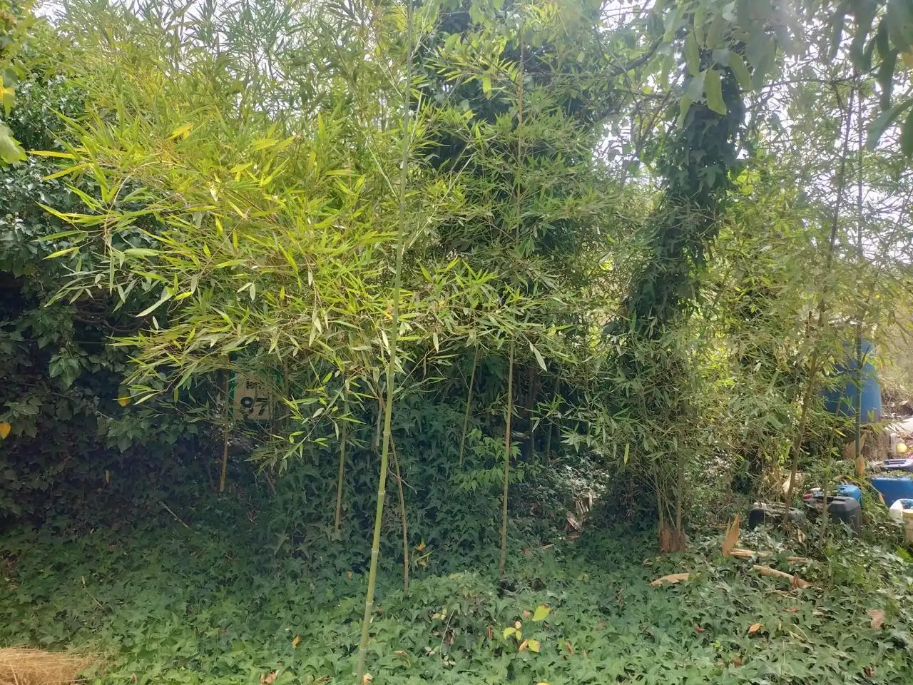 Casa rústica en venda a Lecrín, imagen 13
