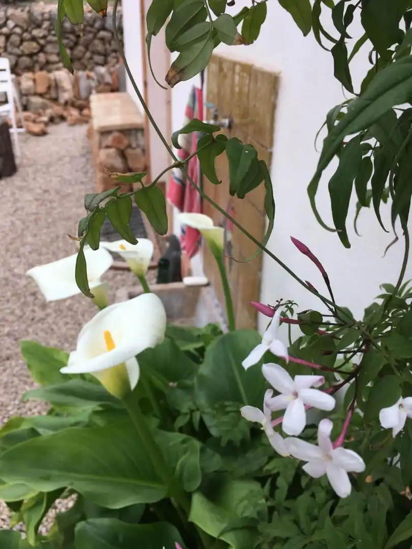 Jardín de Finca rústica en venta en Freginals con Terraza y Trastero