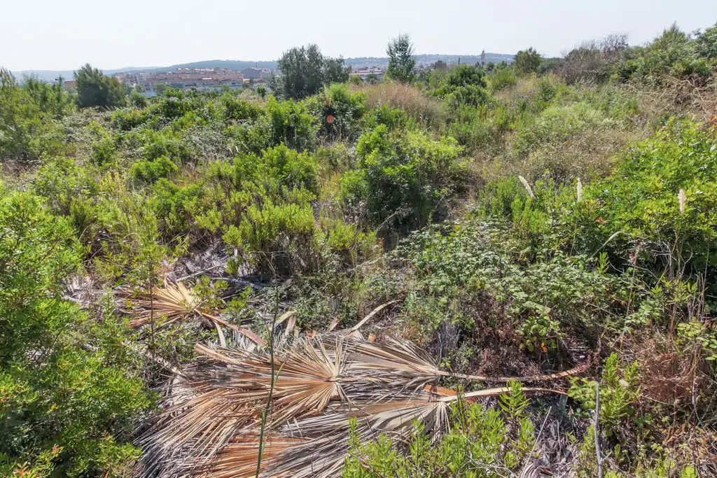Rural land for sale in C/ Manuel de Pedrolo, imagen 23
