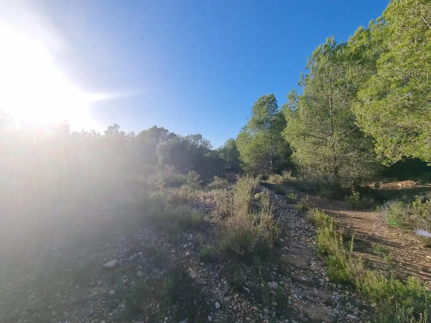 Terreno rústico en venta en Avenida Camí de l'Ametlla de Mar al Perelló, imagen 6