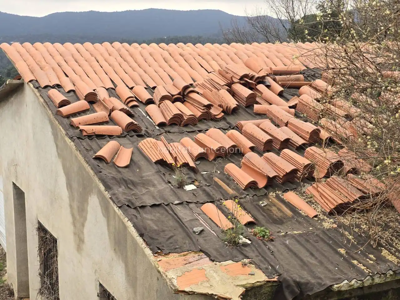 Vista exterior de Casa o xalet en venda en Tordera amb Jardí privat