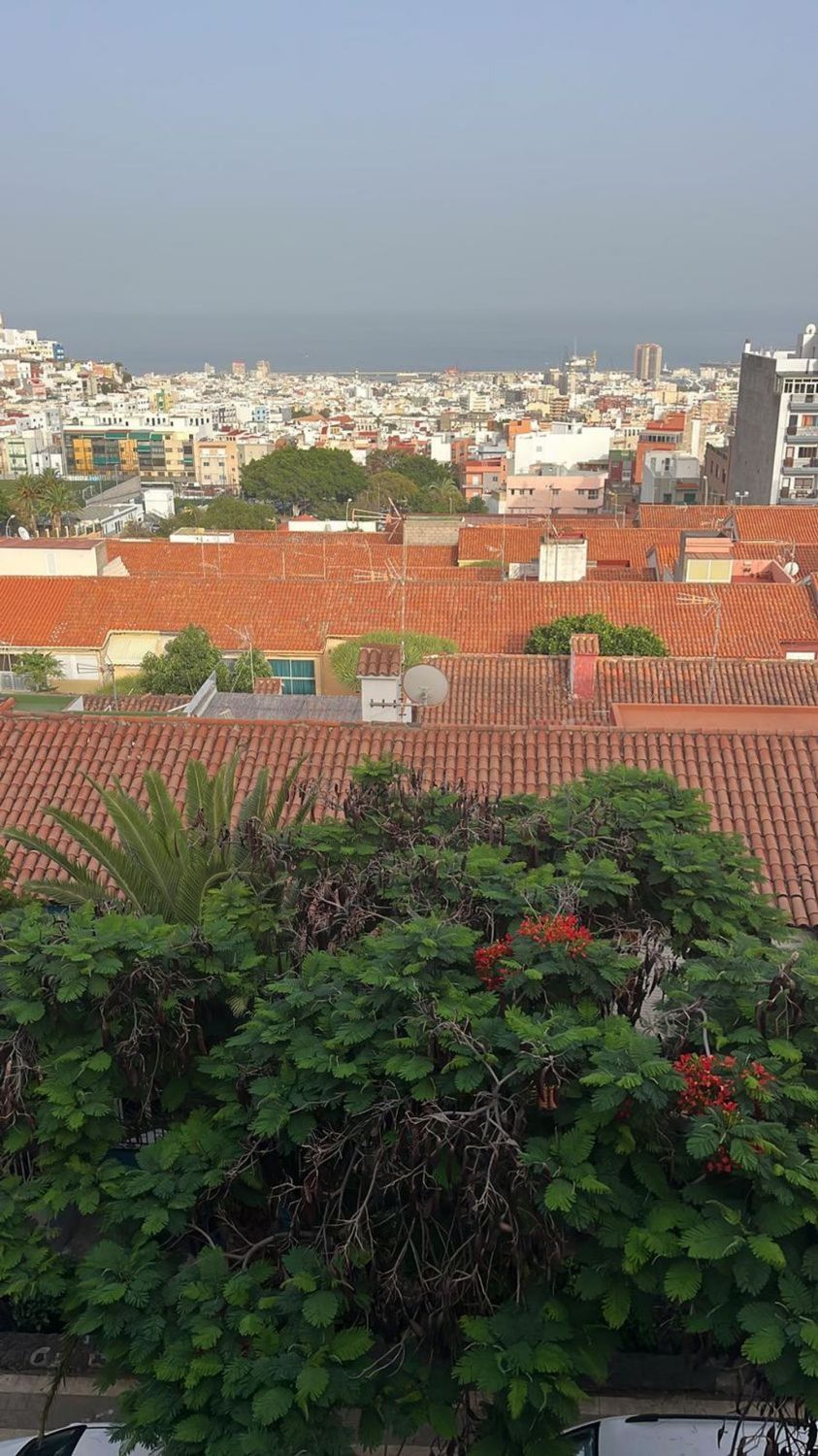 Exterior view of Flat to rent in  Santa Cruz de Tenerife Capital