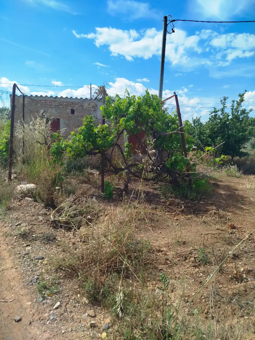 Land for sale in Vilallonga del Camp