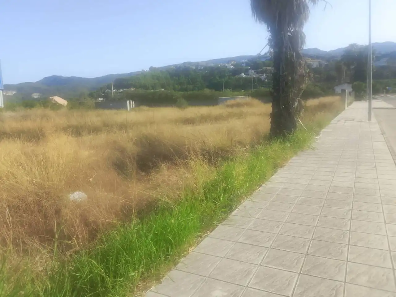 Industrial land for sale in Ador