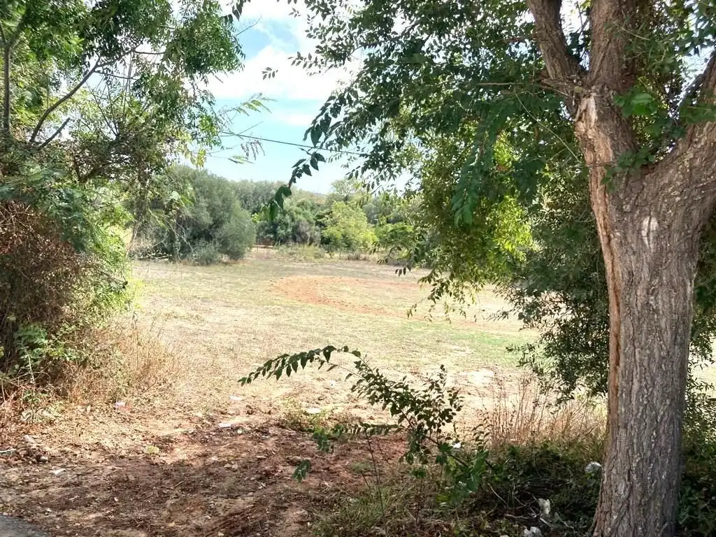 Residential land for sale in La Muela, imagen 3