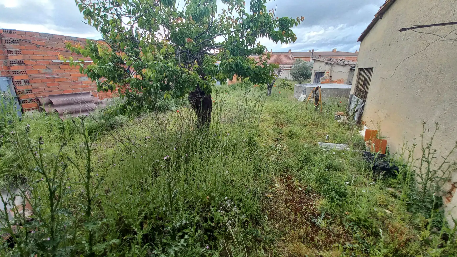 Casa o chalet en venta en Villaralbo
