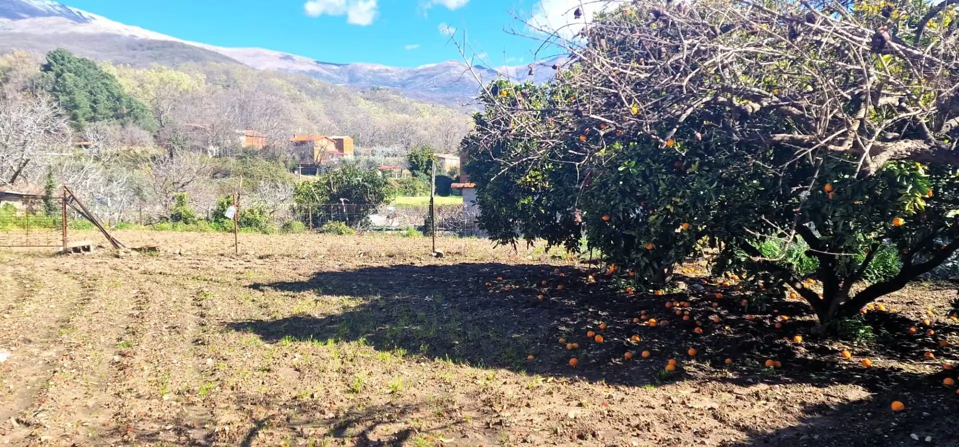 Finca rústica en venta en Cuacos de Yuste