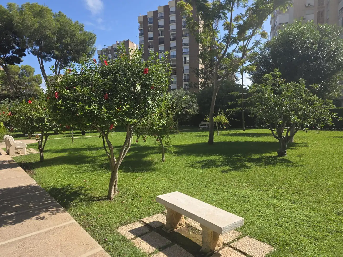 Apartments for rent in Calle GABRIEL Y GALAN-CMOR, Campoamor