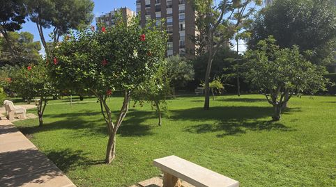 Foto 3 de Apartament de lloguer a Calle Gabriel y Galan-cmor, Campoamor, Orihuela