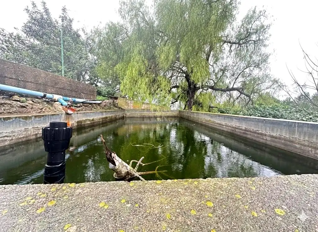 Schwimmbecken von Fabrikhallen zum Verkauf in Tortosa