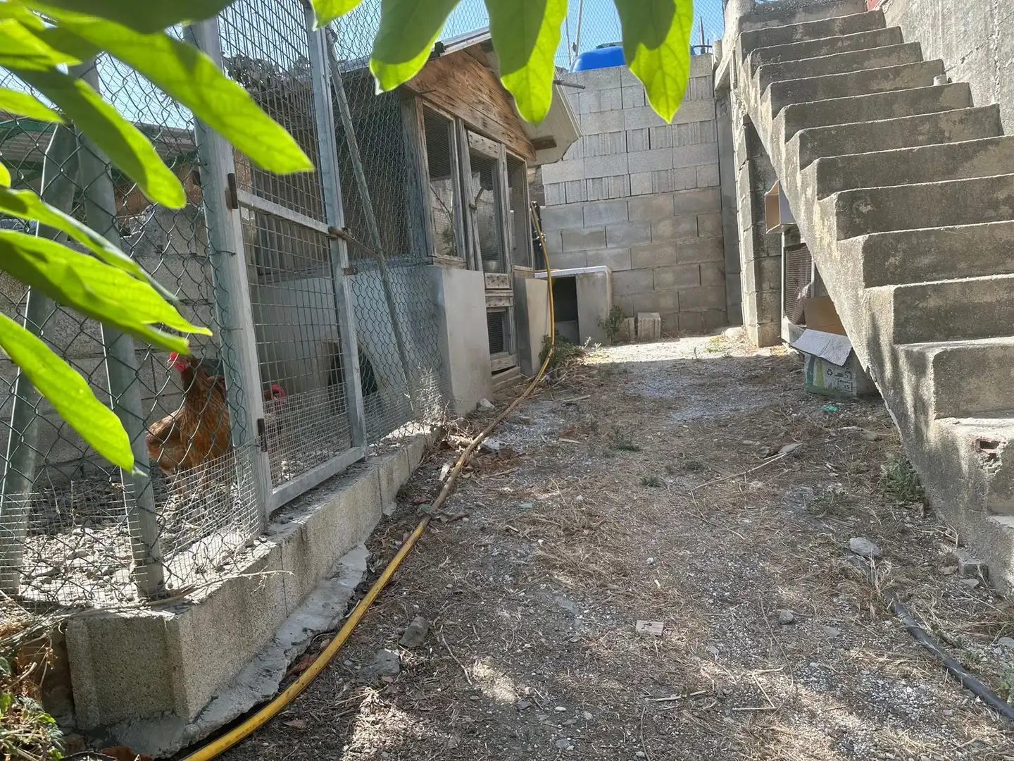 Casa rustica con giardino in vendita a Calle diseminado Real Bajo, imagen 39