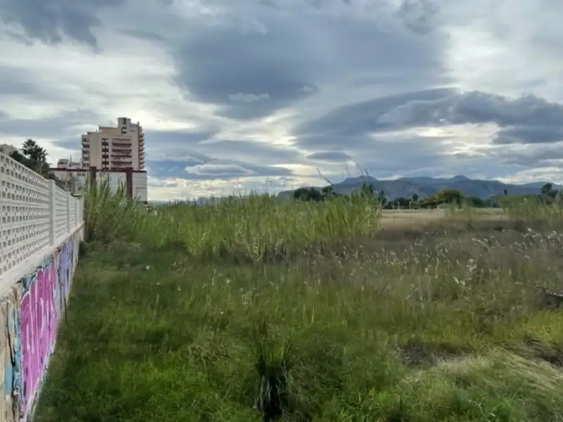 Terreny residencial en venda a CANAL, DEL, S/N y la Avenida de la Diputación S/N, imagen 12