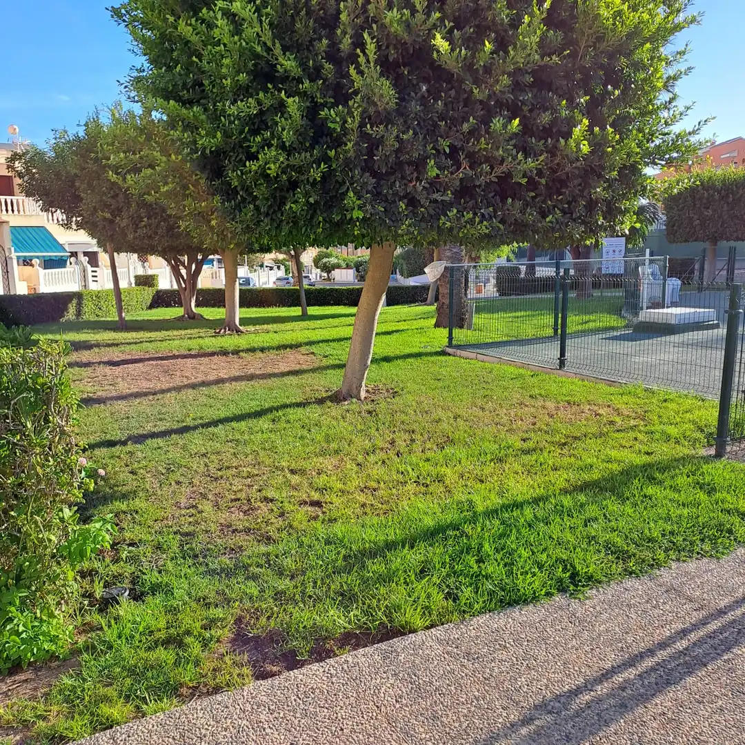 Apartament en venda en Torrevieja amb Jardí privat, Terrassa i Moblat