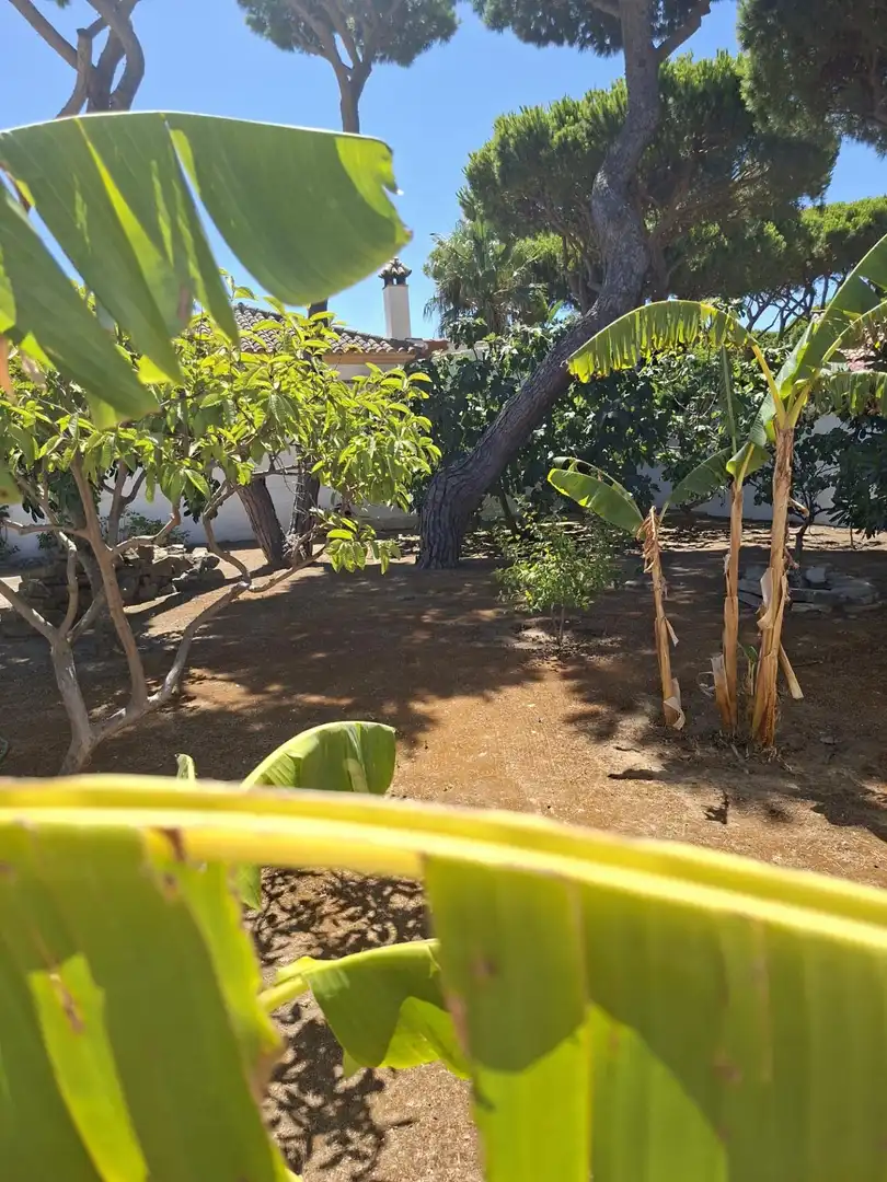 Casa o xalet en venda en Chiclana de la Frontera amb Jardí privat