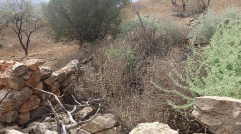 Foto 5 de Finca rústica en venta en Lanjarón, Granada