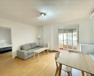Sala d'estar de Apartament de lloguer en  Granada Capital amb Calefacció i Balcó