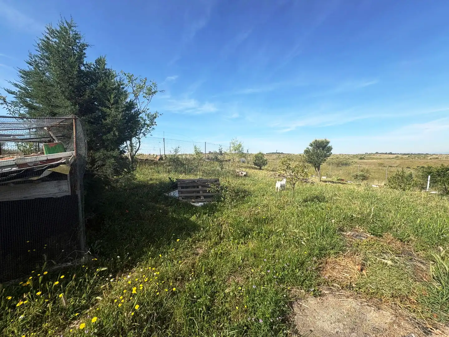 Terreno en venta en Casarrubios del Monte