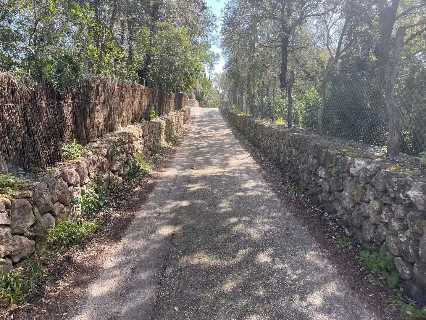 Terreno rustico in vendita a Pollença Poble