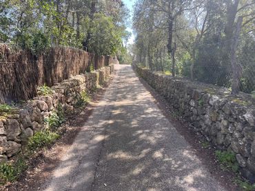 Terreno rústico en venta en Pollença Poble