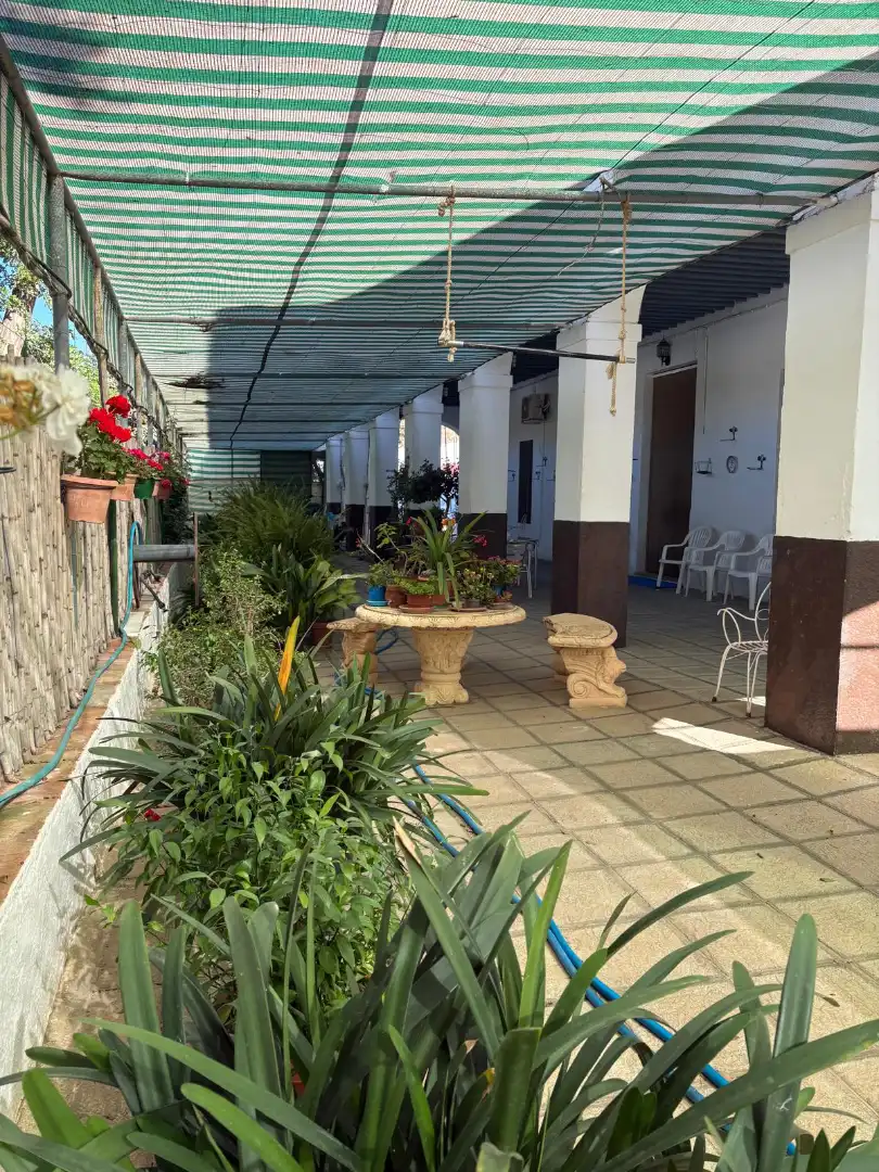 Terrassa de Casa o xalet en venda en Berja amb Jardí privat, Terrassa i Moblat
