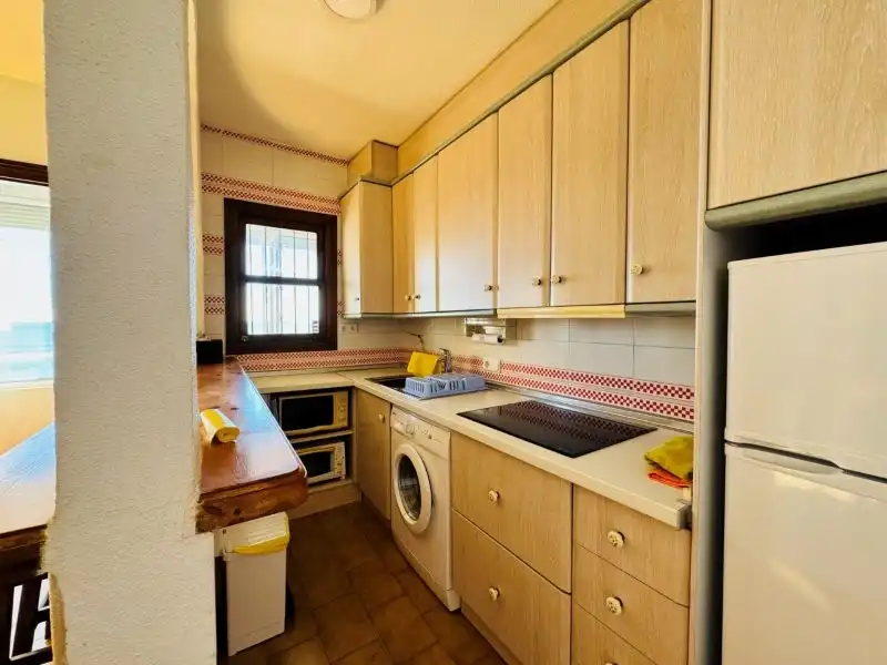 Apartamento en venta en La Mata, imagen 13