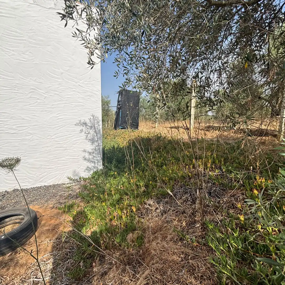 Finca rústica en venda en Almonte