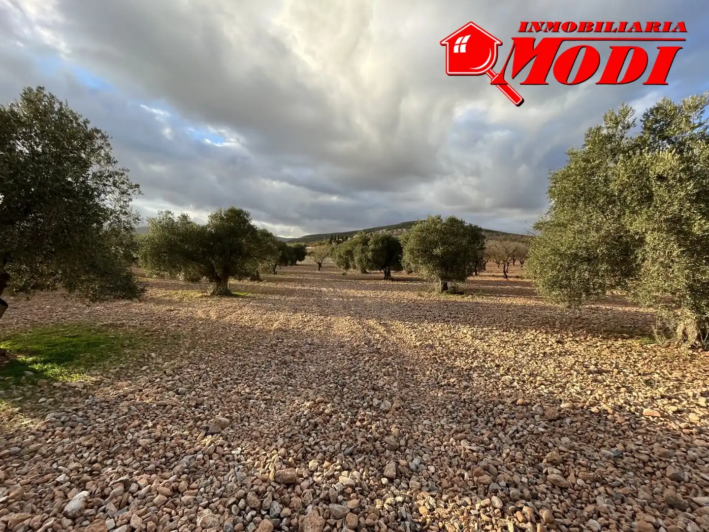 Terrenys i solars en venda a Villamena, imagen 10