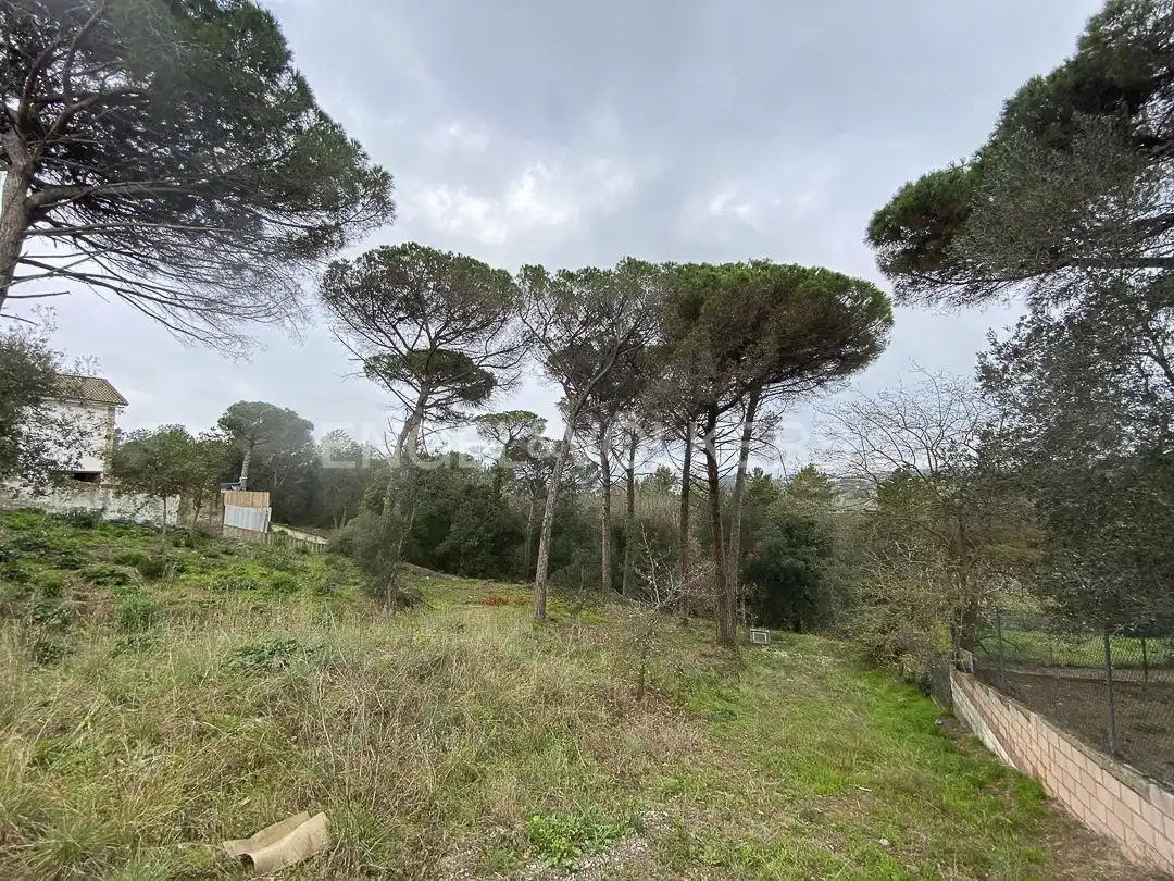 Terreno residencial en venta en Mas Mora - Sant Daniel, imagen 10