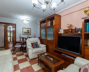 Living room of Flat for sale in Alcalá de Henares  with Heating and Terrace