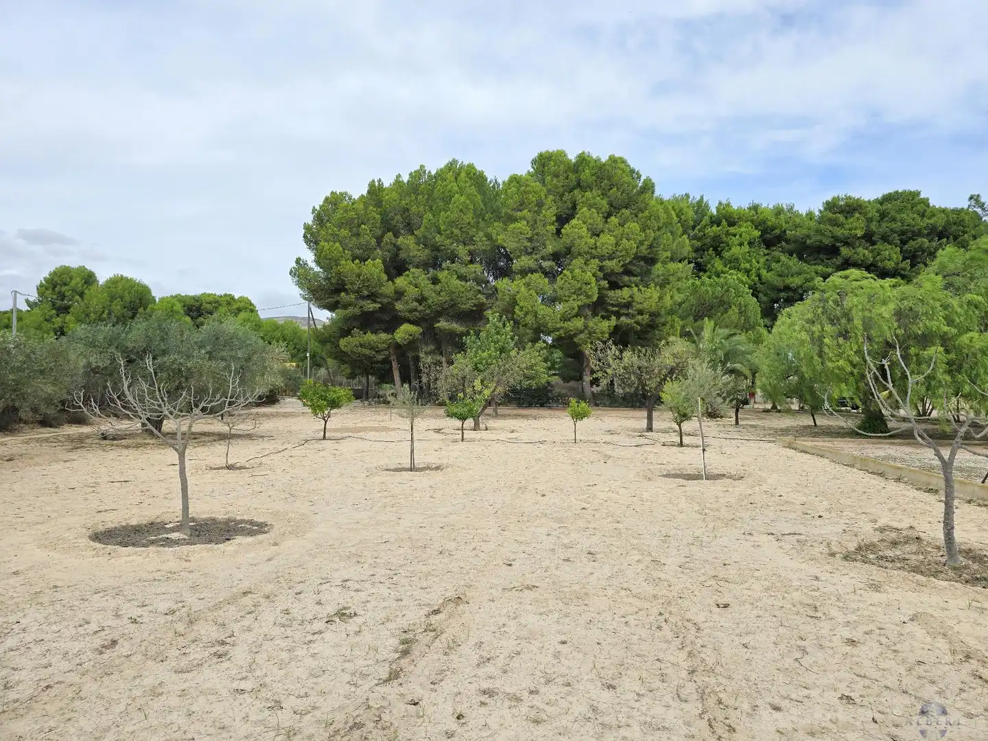 Villa in vendita a Campo Alto - Club de Campo, imagen 17