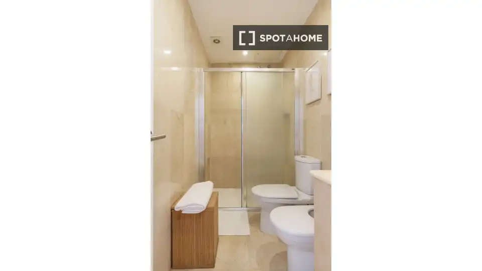 Bany de Apartament per a compartir en Málaga amb Aire condicionat, Terrassa i Moblat